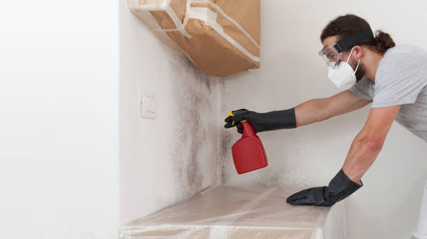 Professional Bathroom Mold Removal technician working in Clarksboro, NJ