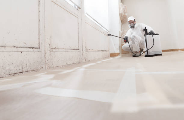 24/7 Emergency Bathroom Mold Removal experts in Clarksboro, NJ